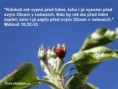 /album/biblicke-obrazky/kdokoli-me-vyzna-jpg2/